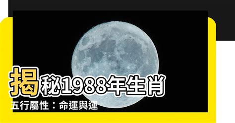 1988 屬什麼|1988年屬什麼生肖